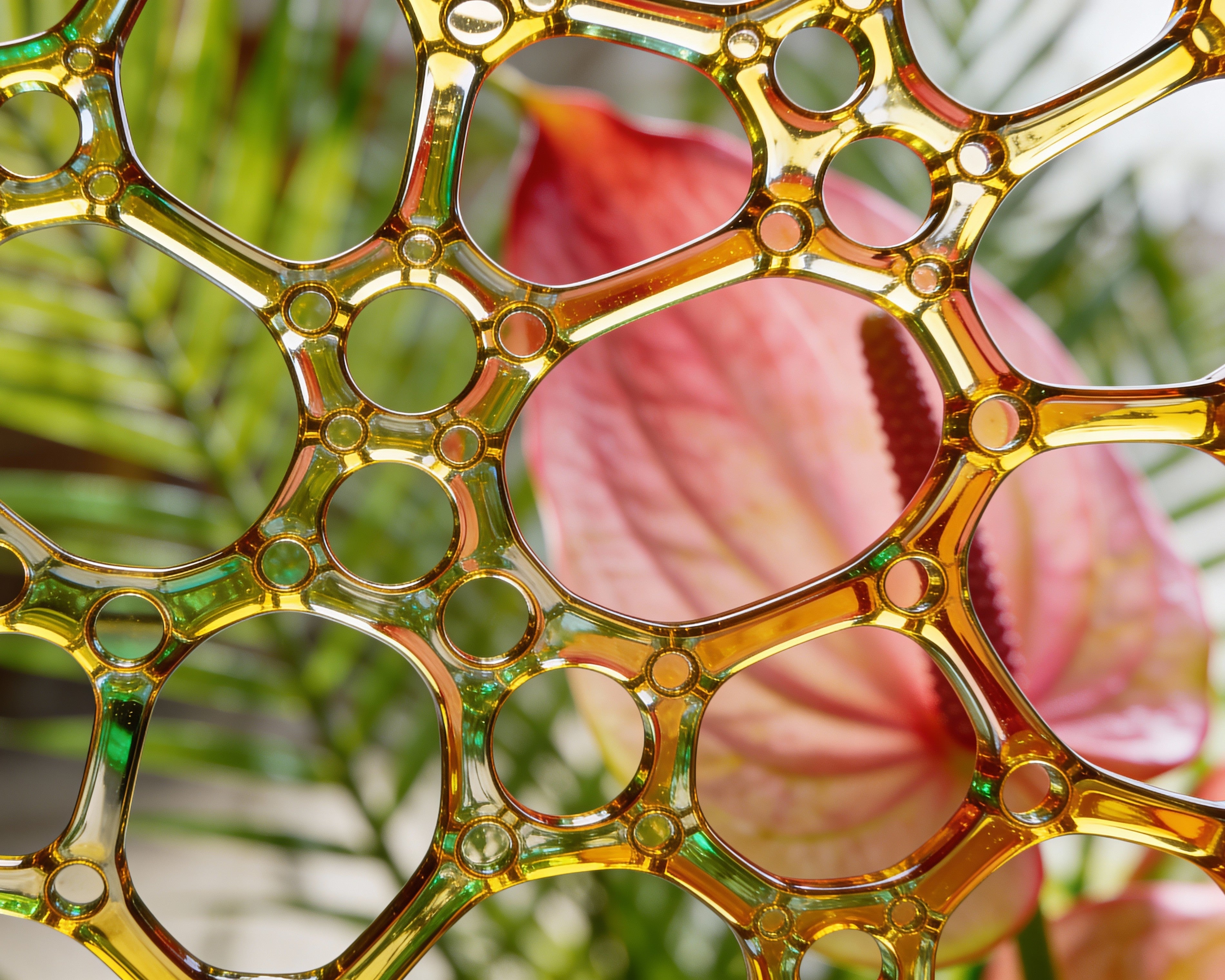 Kahve Aslında Bir Meyve mi?