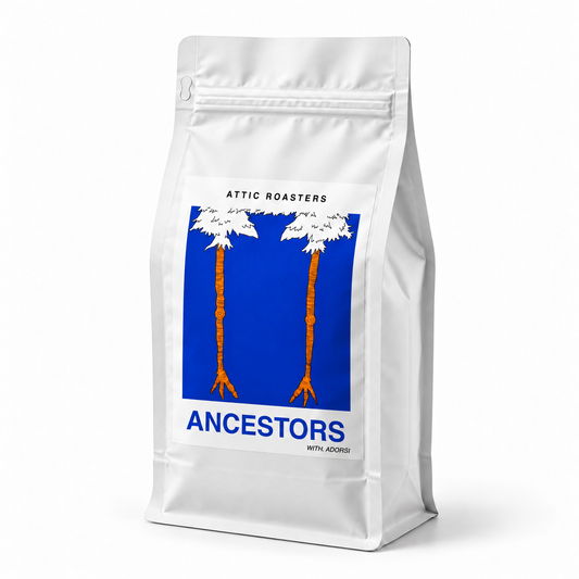 Ancestors 200 g kahve paketi